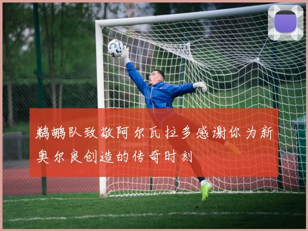 鹈鹕队致敬阿尔瓦拉多感谢你为新奥尔良创造的传奇时刻