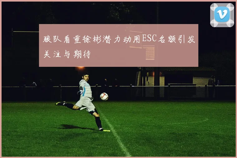 狼队看重徐彬潜力动用ESC名额引发关注与期待